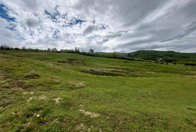 Teren extravilan 10000 mp, com Panatau - 5