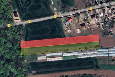 Teren situat langa Padure l Balta Neagra - 6