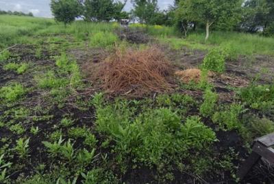 Casa 4 camere, 6000mp teren, zona centrala, Negostina, Siret - 1