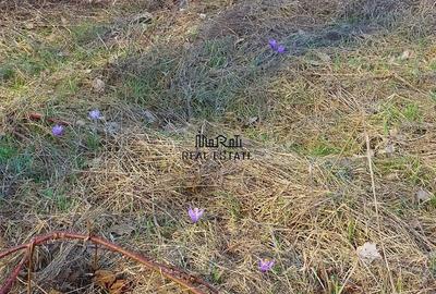 Teren de 3384 mp, în Sud - 9