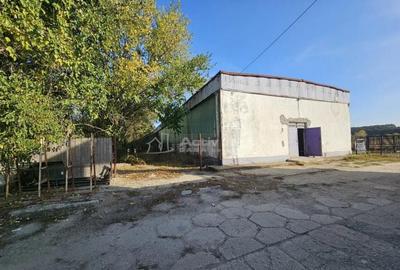 Hala industriala (1000 mp) si teren (4000 mp), Scornicesti, - 4