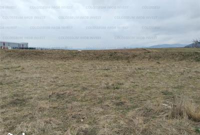 Teren de 5500 mp, în Central - 3