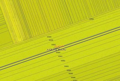 Teren agricol Puiesti ID: R2116028 - 4