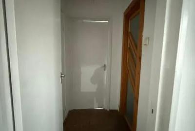 Apartament cu 2 camere semidecomandat, mobilat în Brazda lui Novac - 3