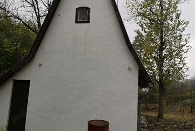 Vand casa de vacanta - 3