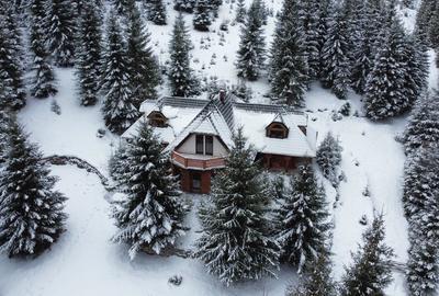 Casă individuală cu 6 camere cu Teren 20000 Mp în Panaci - 5