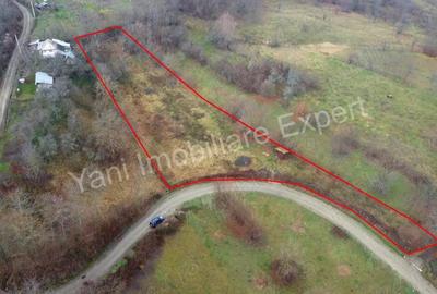 Teren de 3357 mp, în Bădila - 10