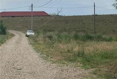 Teren de 645 mp, în Paleu