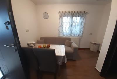 Baia Sprie, casa caramida, 9,4 ari teren - 4