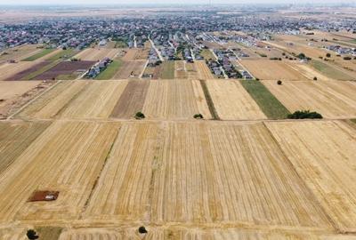 Teren Intravilan In Comuna Berceni | utilitati: gaze si curent | #EG28 - 4