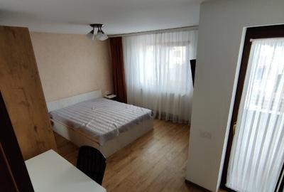 Casa Izvor, Tarlungeni, Brasov, Proprietar - 7