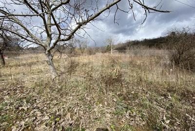Teren intravilan in suprafata de 2000 mp, zona Episcopiei - 1