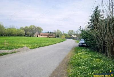 Teren de 1683 mp, în Lunca Calnicului - 11