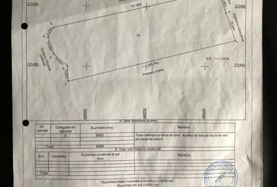 Mosoaia - Batrani - Padurea Trivale - teren intravilan - suprafata 10.200 mp - 5