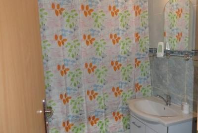 Apartament cu 2 camere semidecomandat, mobilat în Independenței - 14