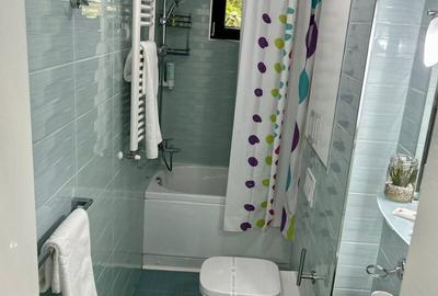 Garsonieră decomandată, mobilată în Dristor - 6