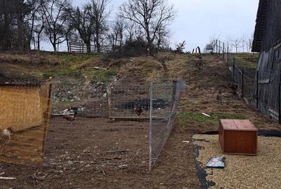 Urgent! Casa la tara - 4