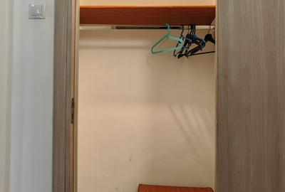 Apartament cu 2 camere decomandat, mobilat în Dristor - 17