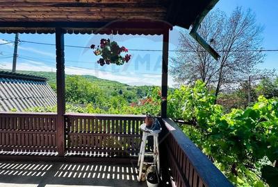Casa cu Toate Utilitatile,Vedere Panoramica,Livada-Stefanesti, Arges - 10