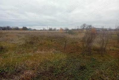 Casa Bodesti 50mp 2 camere bucataria anexe la sosea cu 1500mp teren lumina ,fintina cu apa - 9