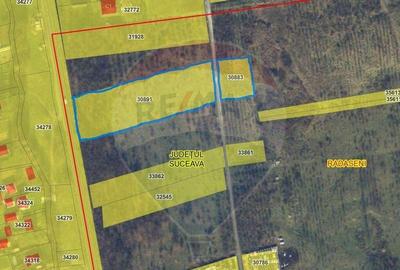 Teren de 10000 mp, în Rădășeni - 15