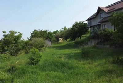 Teren 4800 mp cu Livada si Casa Nefinalizata - Adancata! - 14