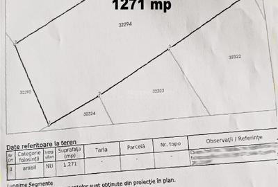 Coronini, Teren Drept, Vedere la Dunare, 1271 mp, 14,95 Euro Mp, Negociabil - 7