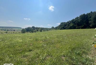 Teren de 570 mp, în Crăciunești - 3