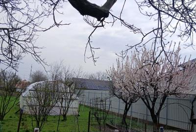 Casă cu 4 camere în Albina - 4