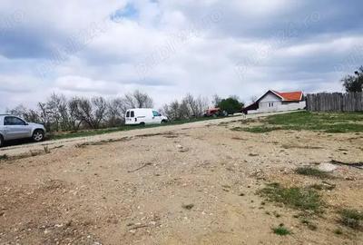 Teren investitie dezvoltator imobiliar km 7 Calea Caransebesului 20 euro negociabil - 5