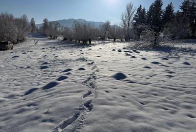 Teren intravilan loturi intre 500 si 1000 m, la 5 km de Moieciu - 9