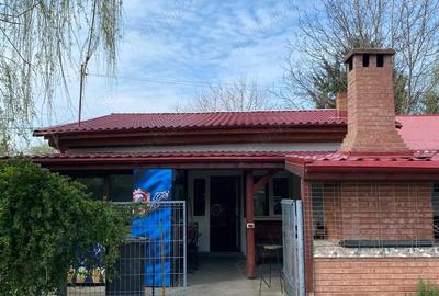 Spațiu comercial, de 280 mp, în Domnești - 1