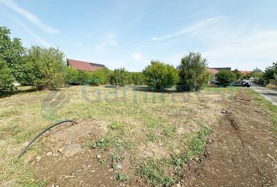 Teren Construcții de 934 mp, în Oncea - 3