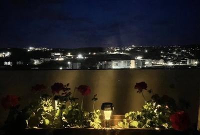 Garsonieră decomandată în Vișani - 3