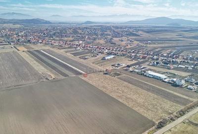 Teren Extravilan, P.U.Z. inceput - 6