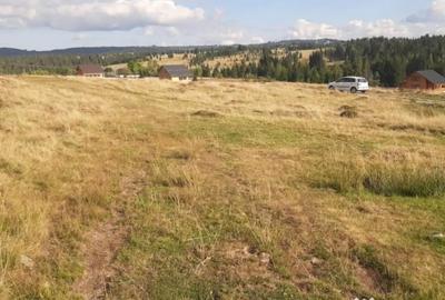 Teren de 1000 mp, în Central - 3