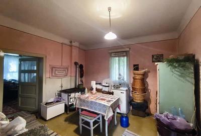 Casa 4 camere Sangeorgiu de Mures Str Nordului Teren 3800 mp - 10