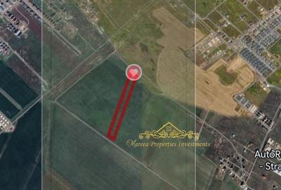Teren investiție Măgurele 17.500 mp - 3