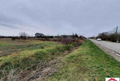 Teren intravilan 12216 mp in Vetis construibil - 6