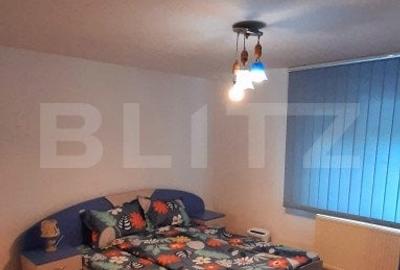Casa de vacanta  pretabila pentru pensiune autorizata - 12