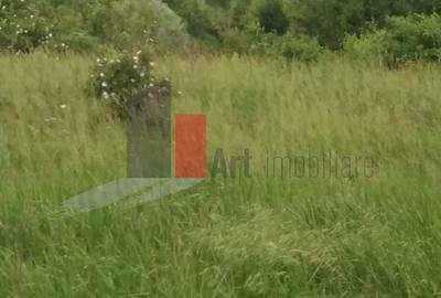 Teren Construcții intravilan de 3000 mp, în Sud - 13