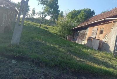 Casă cu 2 camere cu Teren 132 Mp în Ceanu Mare - 5