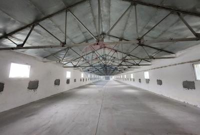 Spațiu industrial, de 683 mp, în Dârvari - 3