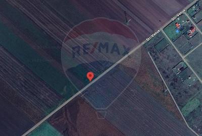 Teren agricol extravilan de 30000 mp, în Hălchiu - 4