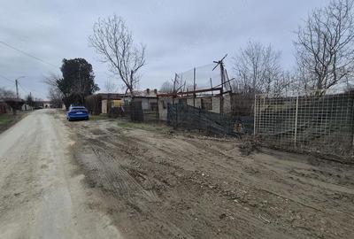 Teren de 1486 mp, în Pruni - 2