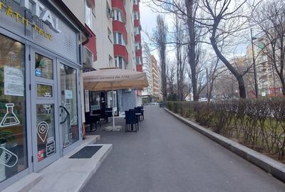 Apartament cu 2 camere semidecomandat în Timpuri Noi - 19