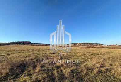 Teren de 3000 mp, în Vest