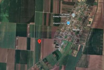 Teren de 9000 mp, în Schela - 9