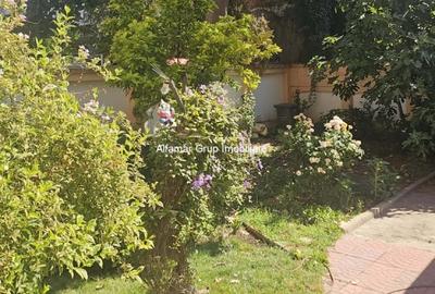 Vila 9 camere Cotroceni- Parcul Operei - 35