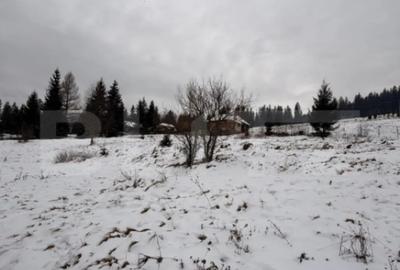 Teren în Central - 1